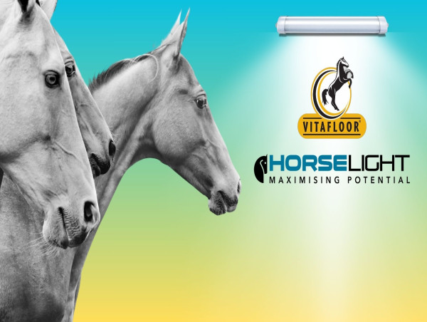  Vitafloor and HorseLight Unveil Strategic Collaboration to Advance Equine Wellness and Performance 