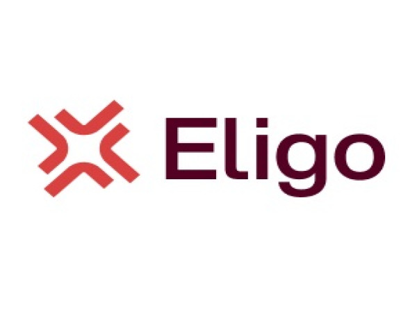 Eligo: celebrating 30 years of innovation and resilience in online voting solutions