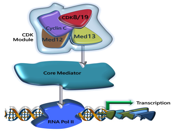  Senex Biotechnology Receives Notice of Allowance for Novel CDK8/19 Inhibitors from European Patent Office 