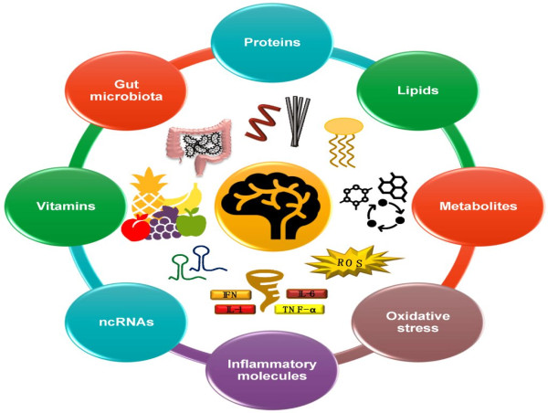 Blood Based Biomarker Market Projected To Witness Substantial Growth, 2024-2031: SysmOex Corporation, Minomic, GENFIT