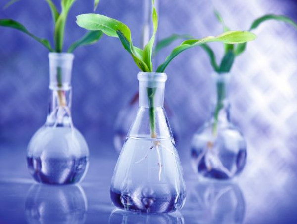 Green And Bio Polyols Market Specifications, Types, Growth Factors and Upcoming Trends Forecast Till 2032