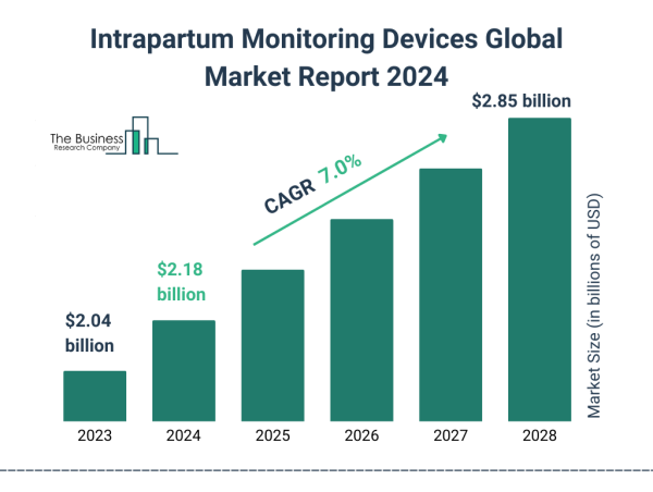 Intrapartum Monitoring Devices Market Size, Share, Revenue, Trends, and Drivers For 2024-2033