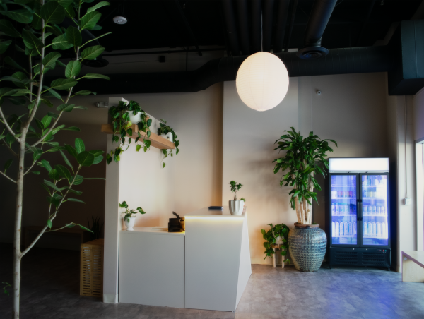 Satorii: Yoga + Wellness in the heart of West LA