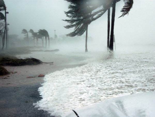 The Realty Medics Equips Property Owners and Renters with Hurricane Preparedness Information