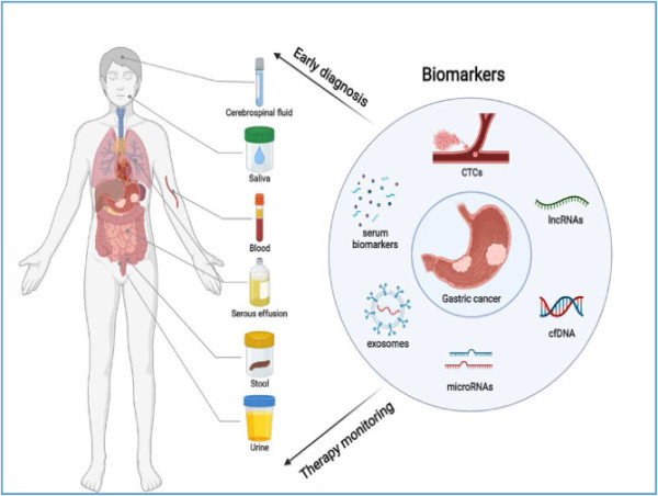  Cancer Biomarkers Market Set to Witness Significant Growth by 2024-2031: Bio-Rad Laboratories Inc., Siemens Healthineers 