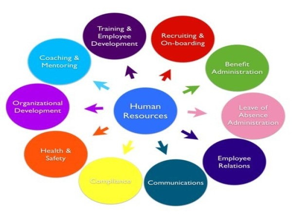  Human Resources Consulting Services Market Is Booming So Rapidly with Deloitte, PwC, EY 