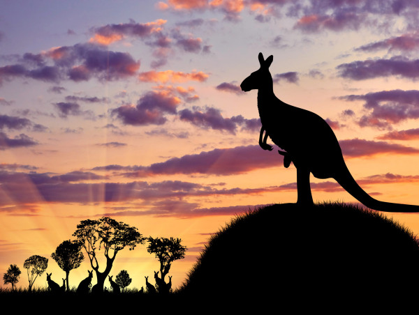 Monochrome launches Australia’s first spot Ether ETF after bitcoin success