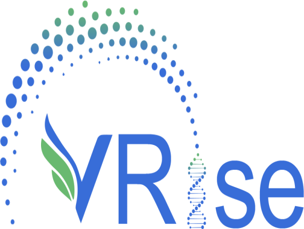  VRise Therapeutics Inc. Announces Acceptance of Late Breaking Abstract at 36th EORTC-NCI-AACR for USP1 Inhibitor VRTX531 