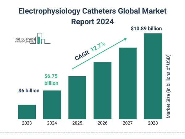  Global Electrophysiology Catheters Market Size, Share And Growth Analysis For 2024-2033 