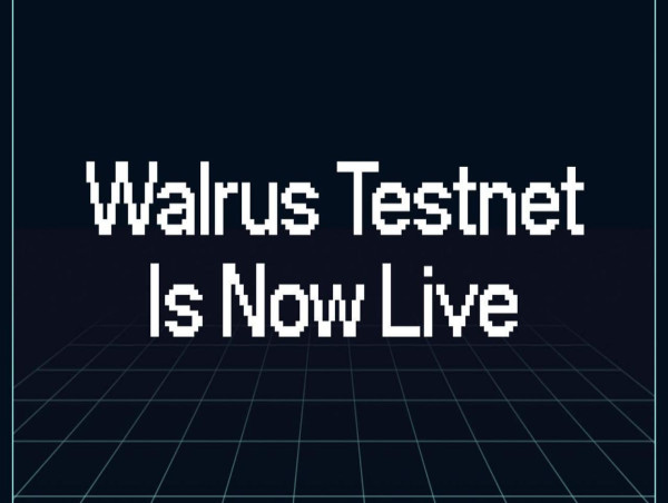  Decentralized Storage Protocol Walrus Launches Public Testnet 