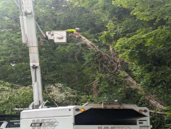  Williams Tree Company Sends 7 Crews to Florida and Georgia for Emergency Storm Response After Recent Hurricane 