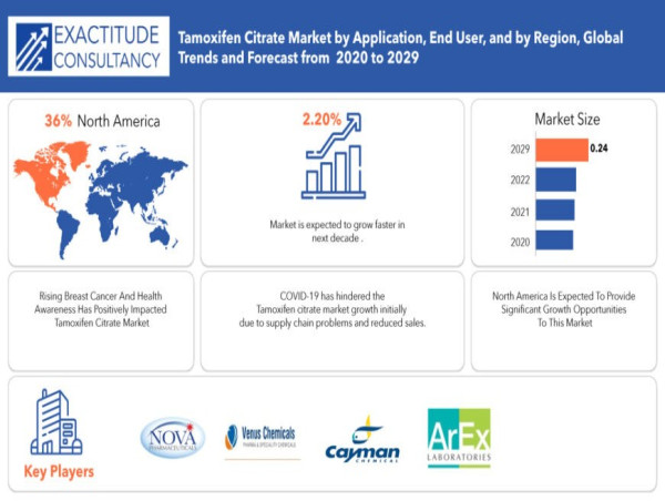  Tamoxifen Citrate Market Opportunities And Strategies 2024-2032 - Size, Growth Analysis, Outlook, Overview 