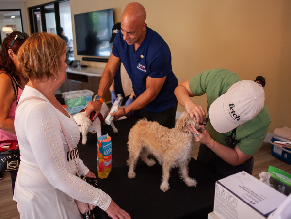 Fetch Pet Insurance Announces Third Annual 101 Donations Campaign in Support of Project Street Vet
