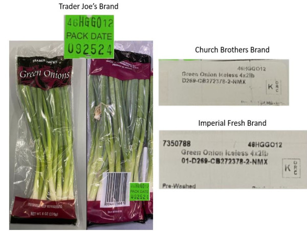  Church Brothers Farms Recall Green Onions Due to Possible Health Risk 