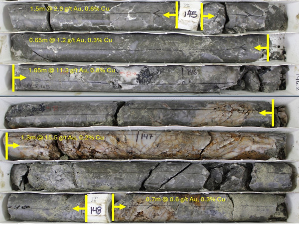  Carolina Rush Intersects 61 m @ 1.7 g/t Au and 0.3% Cu including 10.6 m @ 4.4 g/t Au and 1% Cu at Brewer 