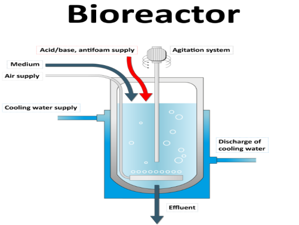  Bioreactors Market Set to Witness Significant Growth by 2030, Driven by Rising Demand in Biopharmaceuticals 