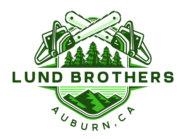  Lund Brothers Unveils New Website, Reinforcing Commitment to Northern California's Wildfire Safety 