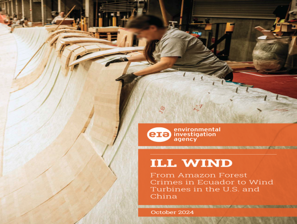  ILL WIND: China, US, Leading Wind Turbine Manufacturers and U.S. Energy Provider Linked to Illegal Logging in the Amazon 
