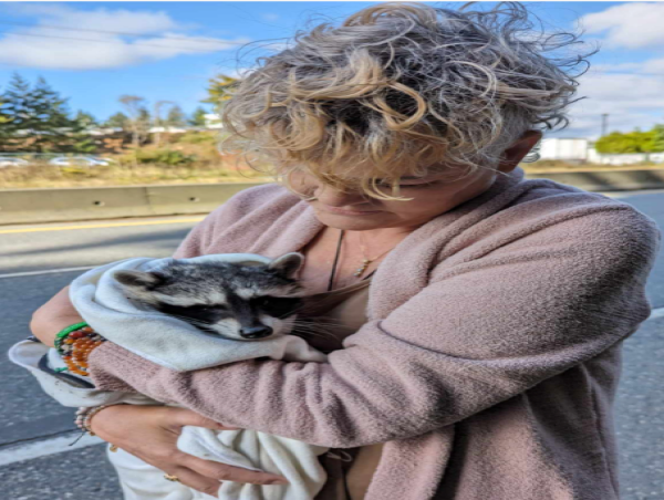 'Scout Says Thank You… But NO NO NO' — A Critical Resource for Dog Safety and Nutrition Awareness