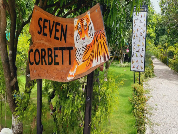 Jim Corbett Group Packages: A Perfect Choice for Adventure and Nature Lovers