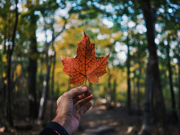  Canada to slash immigration by 20%: what it means for its economy? 