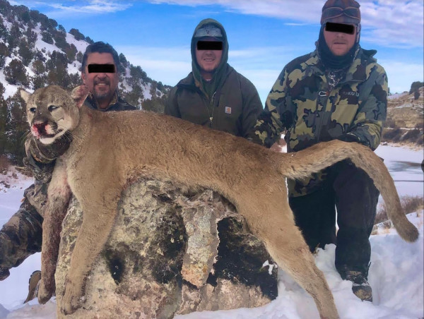 D.C.-based Dark Money Groups, With No Professional Wildlife Staff, Make Up 50% of All Funding for ‘No on 127’ Campaign