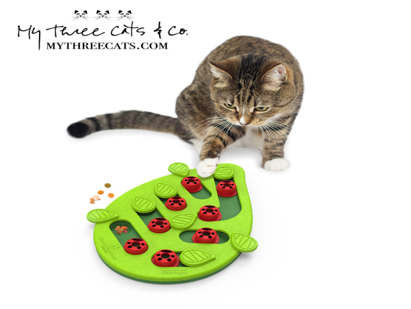 My Three Cats & Co., Inc. Celebrates 25 Years of Paw-some Success