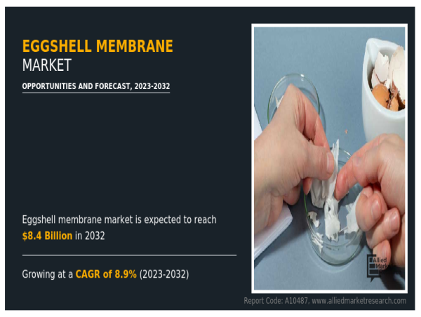  $8.4 Bn Eggshell Membrane Market, Fueled by Asia-Pacific Production Strength and Rising Demand in North America & Europe 