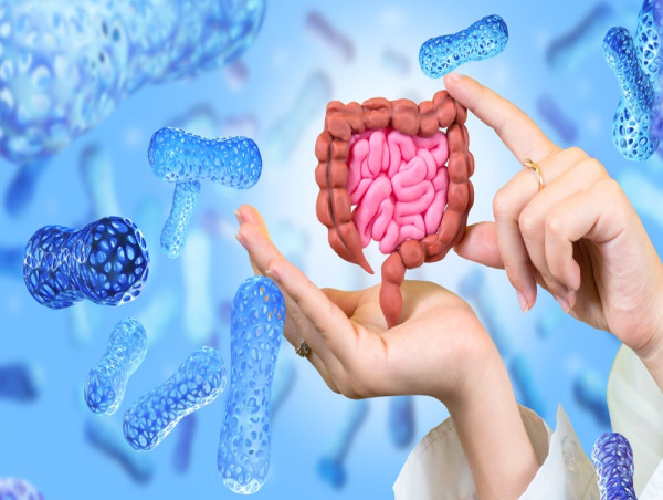  Microbiome Therapeutics Whitespace Analysis Reveals Market Opportunities | Second Genome, Inc., Vedanta Biosciences 