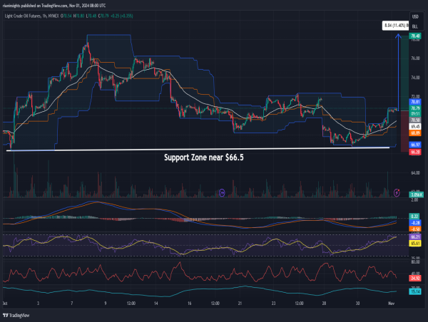  Long WTI Crude Oil: Double bottom near $66.5 signals reversal potential amid strengthened uptrend 