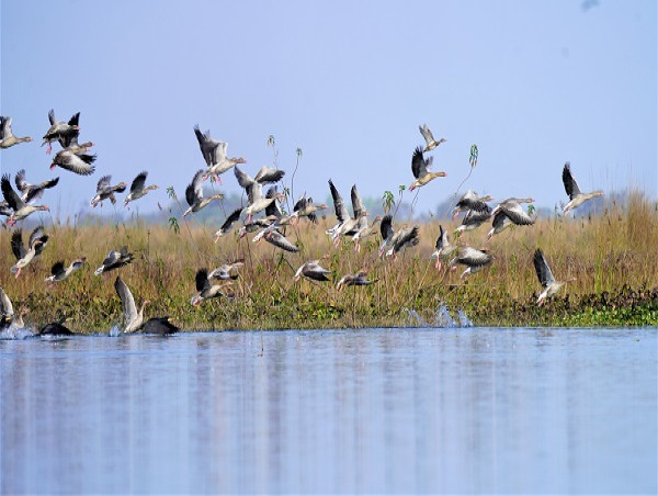  Bijnor Mahotsav: Celebrating a Ramsar Site & The Art of Living's Remarkable Role in Community-led Conservation 