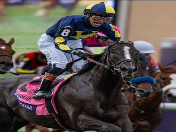  More Than Looks Wins The 2024 Breeders Cup Mile. A Thrilling Win for Victory Racing Partners, & Trainer Cherie Devaux 