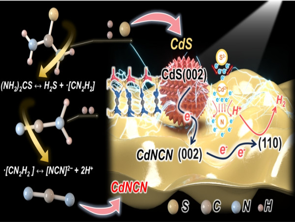 Atomic-level heterostructures for enhanced photocatalytic hydrogen evolution