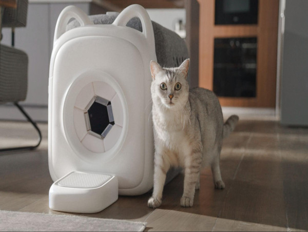  PawSwing Launches AutoComb, the World’s First Auto-grooming Machine for Cats 