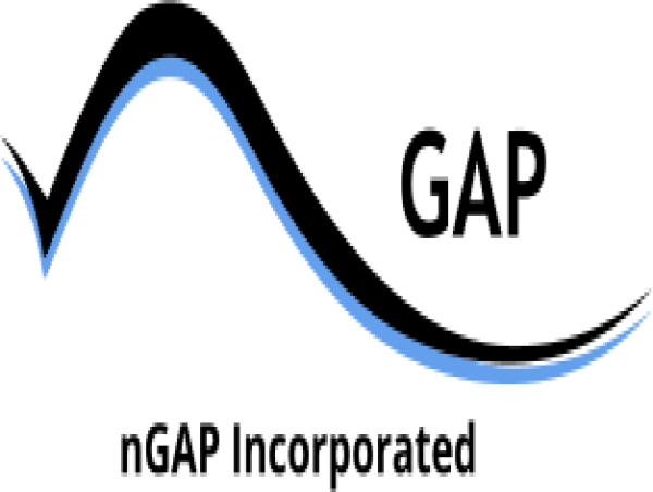 nGAP receives a GSA schedule contract enabling participation in their spending program of $45 billion per year