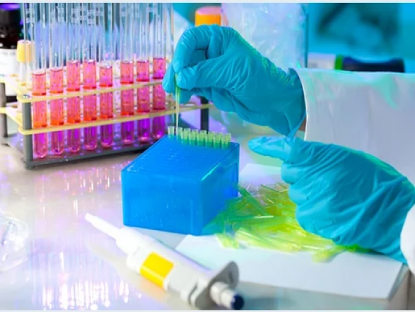 Serological Testing Market Size Expected to Hit USD 8.2 Billion by 2032, Expanding at a 6.5% CAGR: VMR