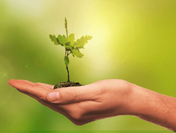 Environmental and Engineering Consulting Services Market to Witness Stunning Growth | Stantec, AECOM, Tetra Tech