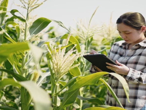 I2I Automation Launches Groundbreaking Agricultural Software to Streamline Operations for Canadian Farmers