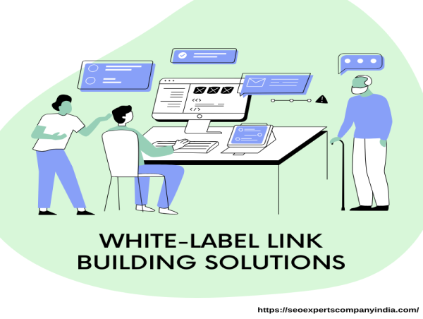  SEO Experts Company India Introduces Affordable White Label Link-Building Solutions for Agencies 