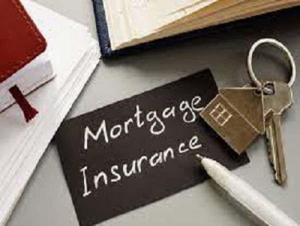  Mortgage Insurance Market Gaining Momentum Ahead on Innovation: Arch Capital, National MI, Radian Group 