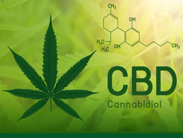  Cannabidiol Market Projected To Witness Substantial Growth, 2024-2031: Medterra CBD, Aurora Cannabis Inc., Aphria, Inc. 