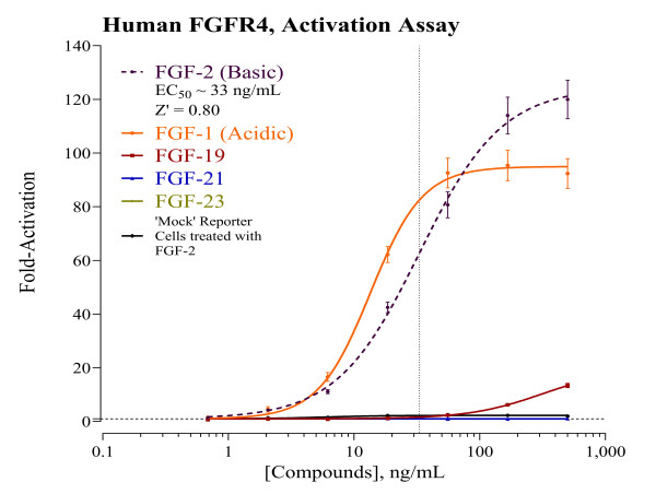 INDIGO Biosciences Launches Family of FGFR4 Reporter Assays for Accelerated Cancer and Muscle Disease Research