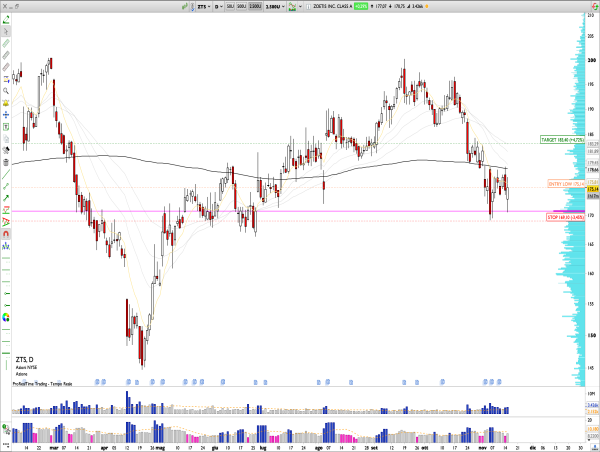  Long ZTS: Zoetis Inc. Q3 Earnings Beat, Revenue Growth of 11%, and Strong Support at $170 Signal Potential Reversal Opportunity 