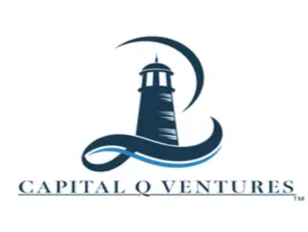  Capital Q Ventures Inc. Announces Strategic Partnership with DigitalSelf, Inc. 