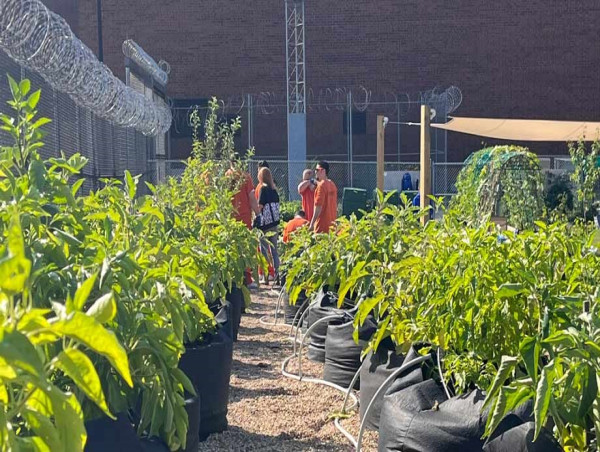  DuPage County Correctional Facility and JUST of DuPage Grow Partnership with COD's Horticulture Program 