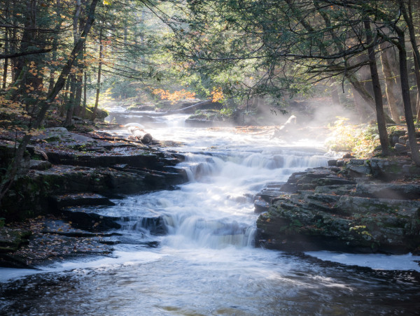  Pennsylvania Parks And Forests Foundation Announces New Friends of Promised Land State Park Chapter 