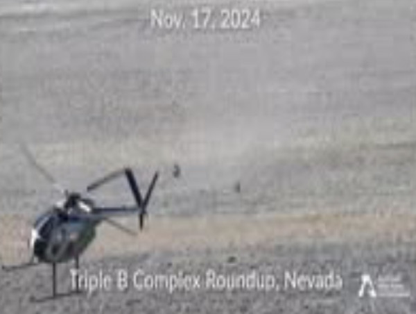 Behind And Beyond The Tragedy At Triple B 