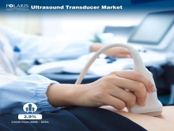  Ultrasound Transducer Market to Increase to US$ 4.95 Billion by 2034, Driven by 2.9% CAGR Forecast by 2025-2034 