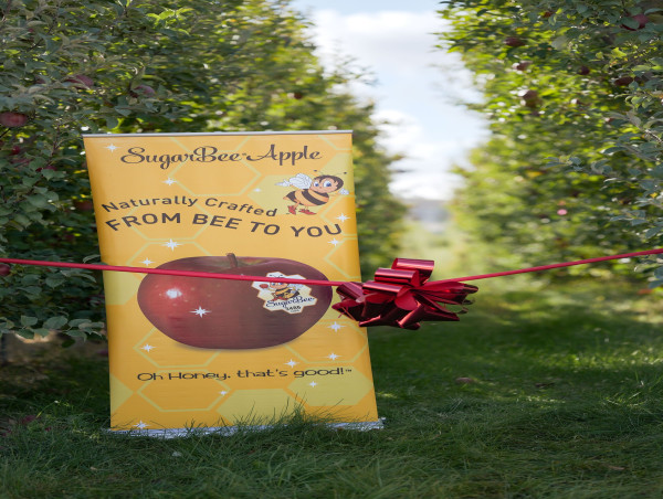  Adopt a Sugarbee® Apple Tree for a Gift That Gives All Year 