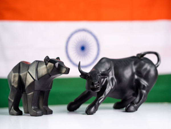  Why Indian equities are thriving while global markets are grappling with declines 